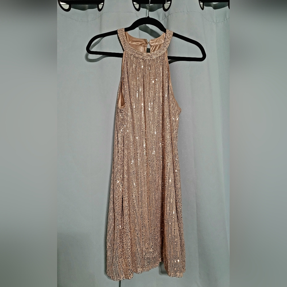 Elegant Sequin Dress in Champagne